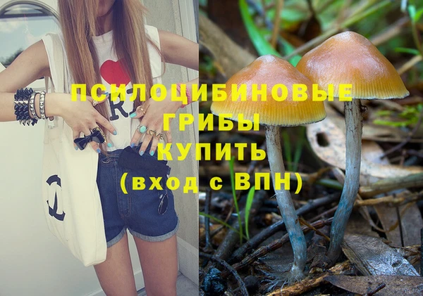мяу мяу мука Елизово