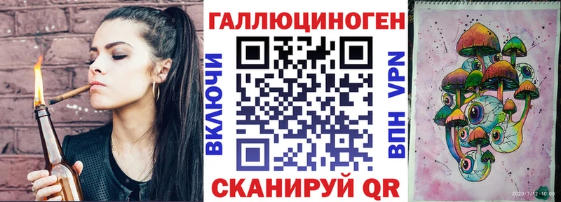 Купить где  Мышкин  Псилоцибиновые грибы Psilocybe 