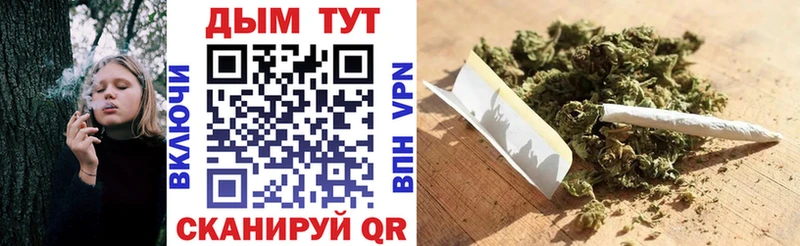 Купить где  Мышкин  Бошки Шишки тримм 